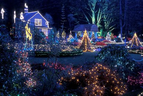 Illuminate Your Night with Magic of Lights Promo Codes and Deals